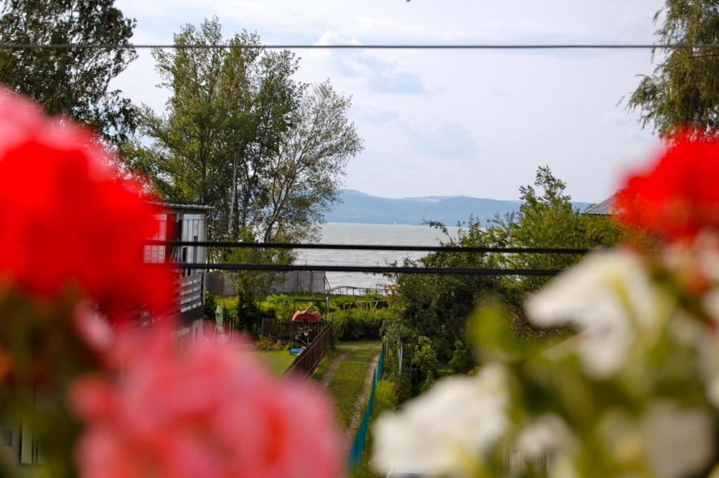 Silver Beach Resort Zamárdi Kamer foto
